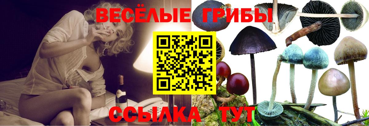 Ялта  Галлюциногенные грибы MAGIC MUSHROOMS  Вход с VPN 