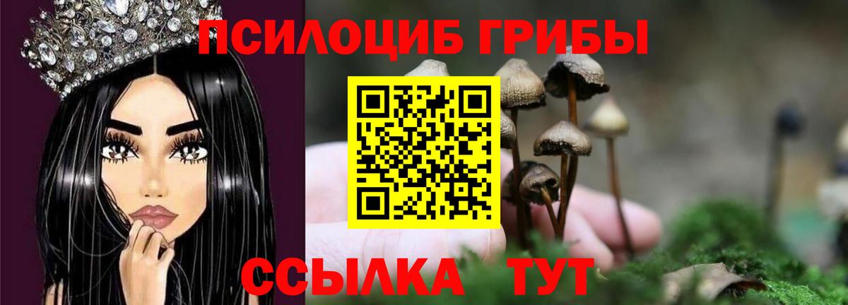 Псилоцибиновые грибы Psilocybe Ялта